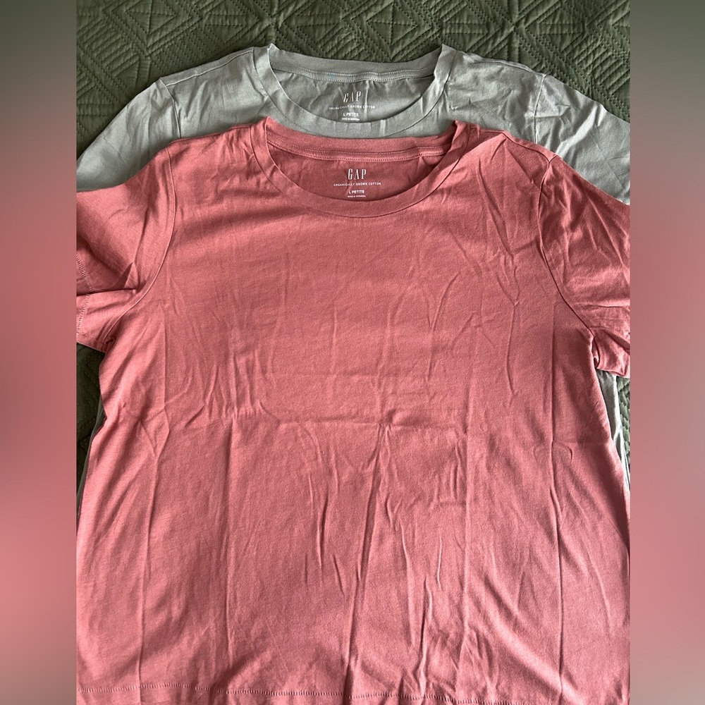 Gap Organic Cotton Tee - Set of 2